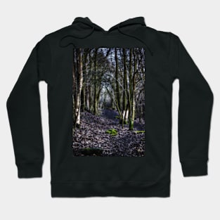 Lost in the Forest Hoodie